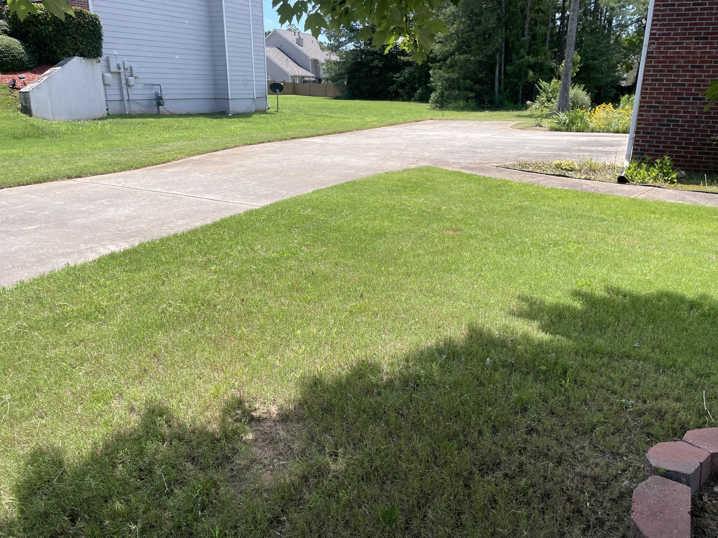 A backyard with a concrete patio area, green grass, and trees and plants along the edges. Part of a house with white siding and a brick wall are visible, with a satellite dish attached to the house.