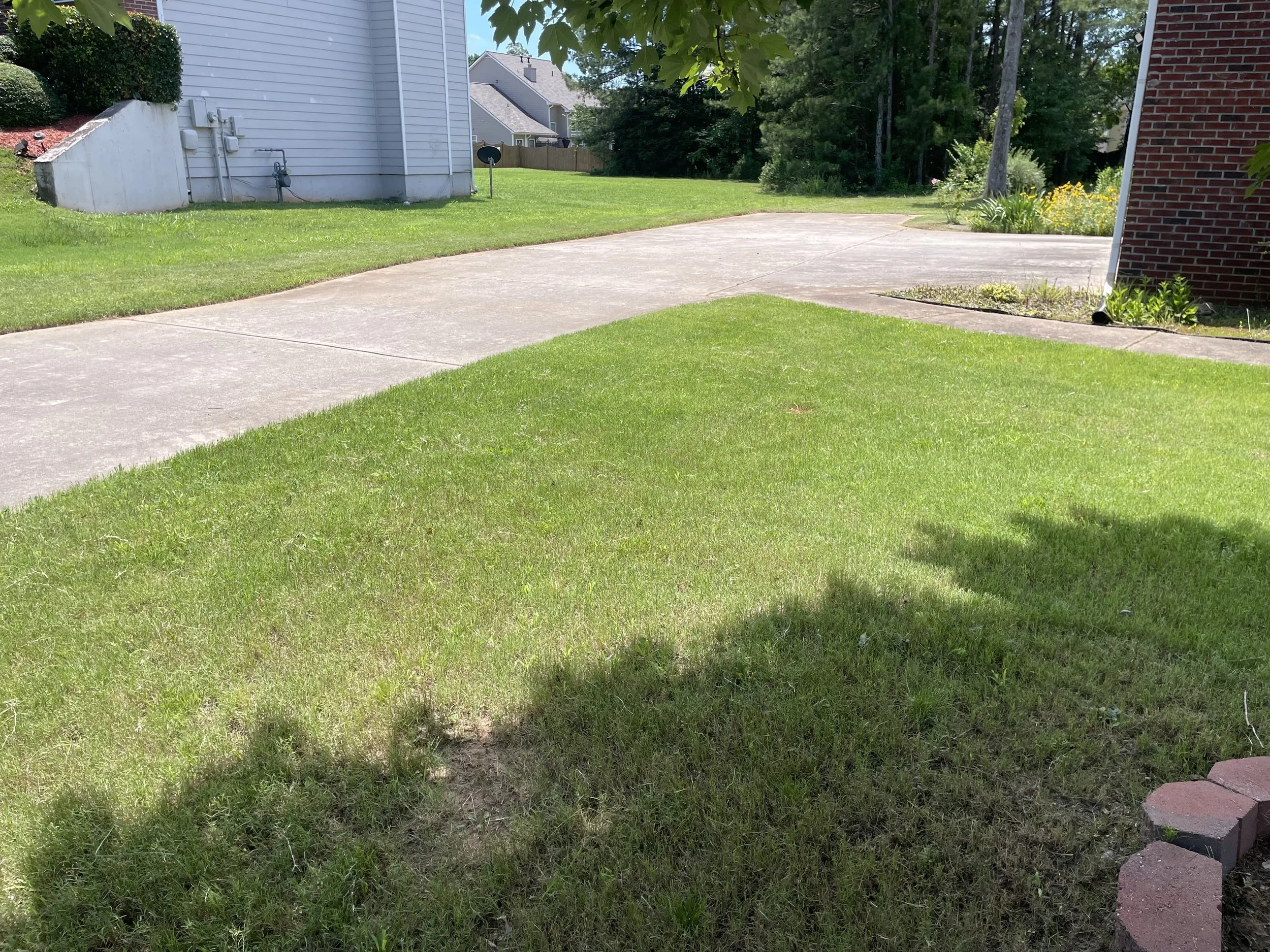 A backyard with green grass, a concrete patio, and some trees and bushes in the background. Part of a house with white siding and a brick wall is visible on the right side.