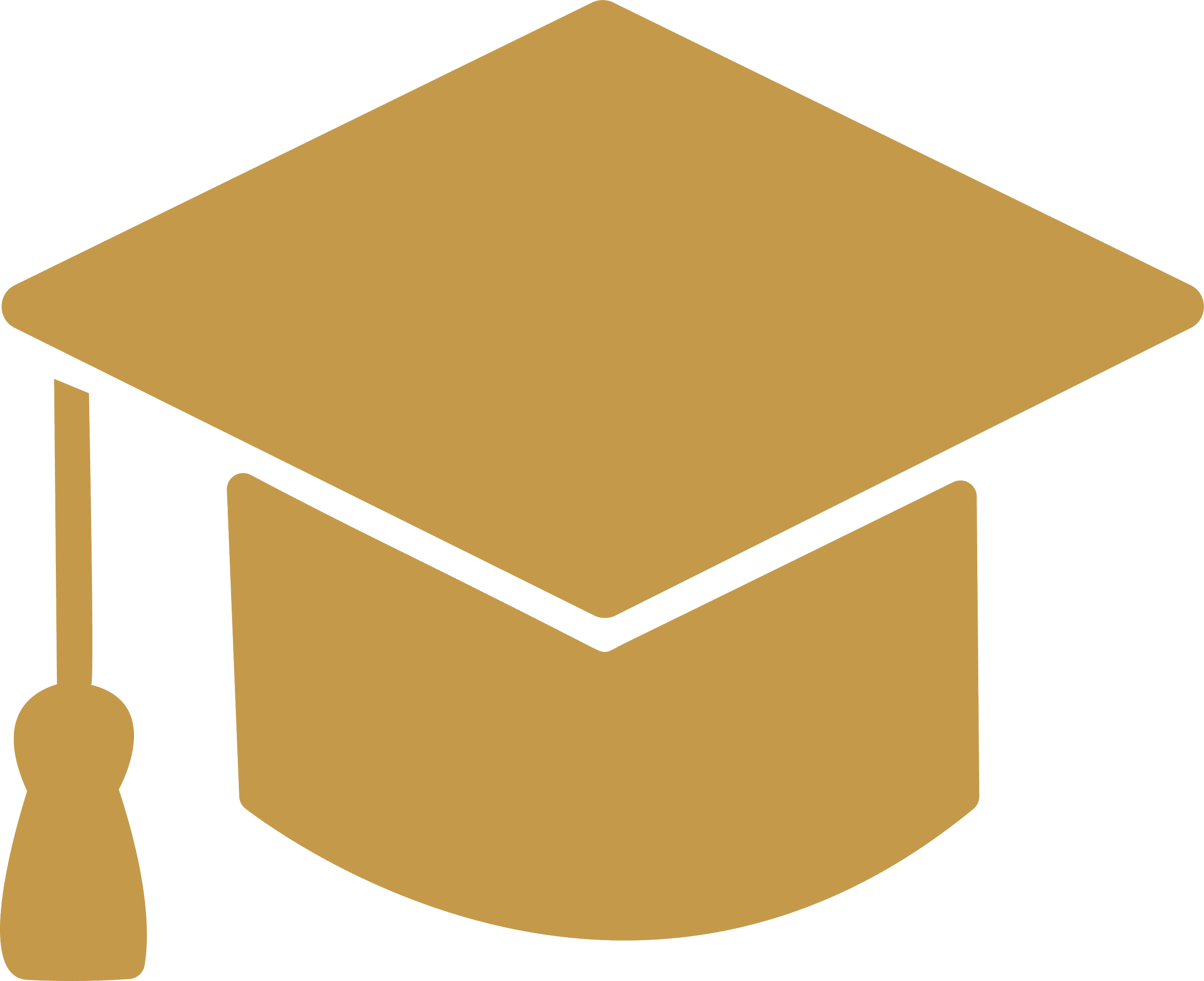 Graduation cap icon representing professor experience