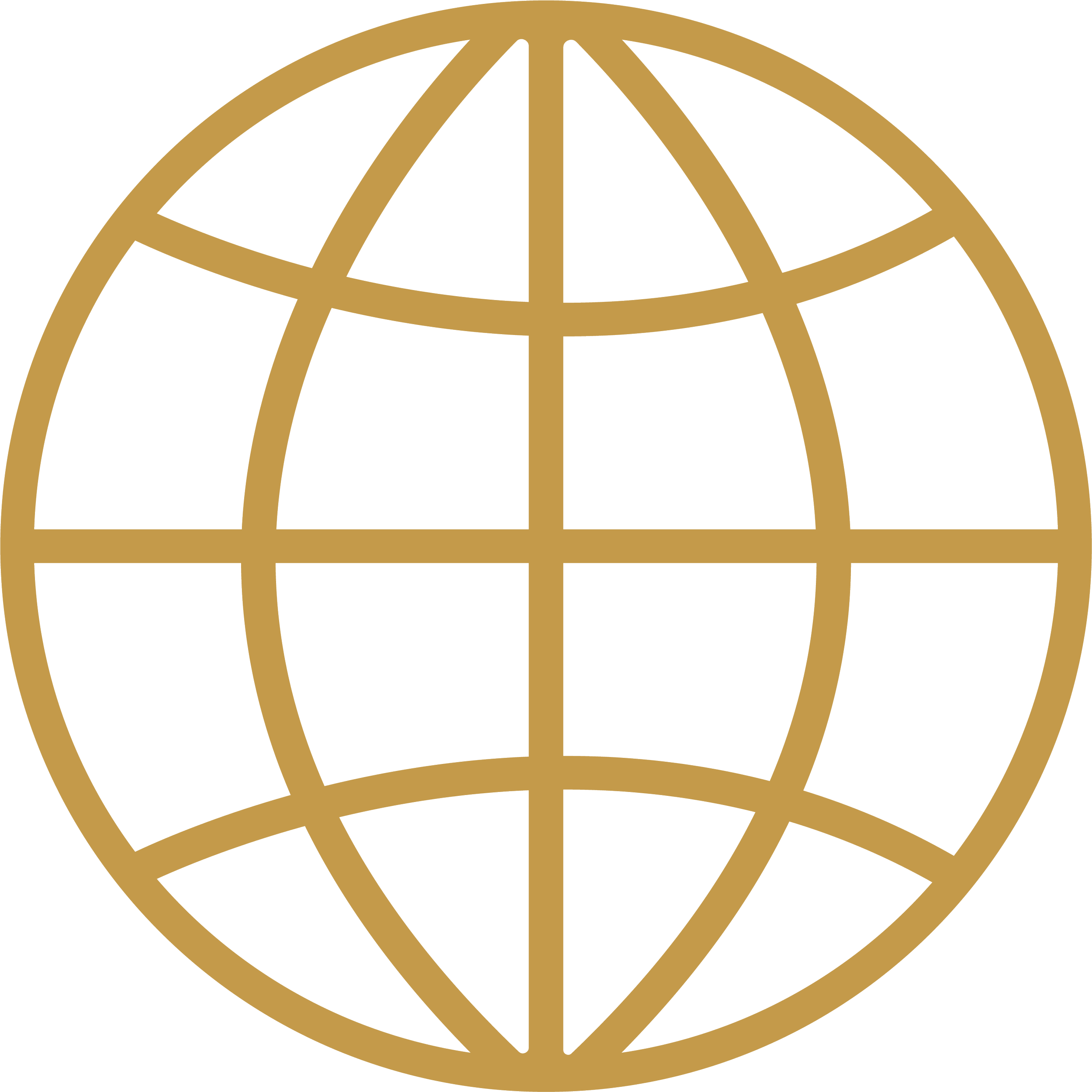Globe icon representing international reviews and technical evaluations