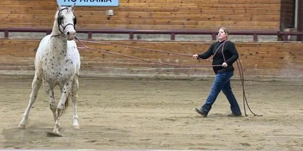 A woman in black jacket and jeans holding a lunge line, leading a white and gray speckled horse inside an indoor riding arena with wood-paneled walls.