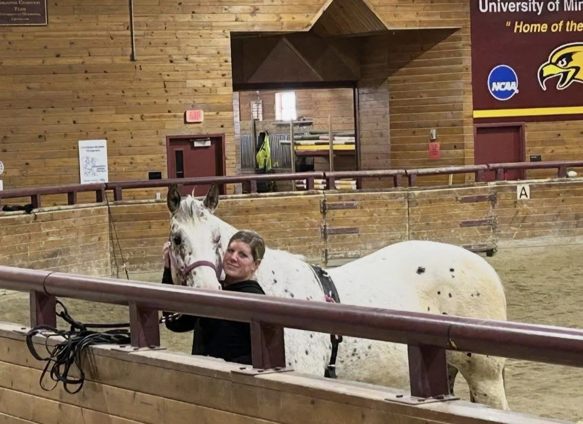 A woman hugging a white and black-spotted horse inside an indoor riding arena with wooden walls and a sign for the University of Minnesota.