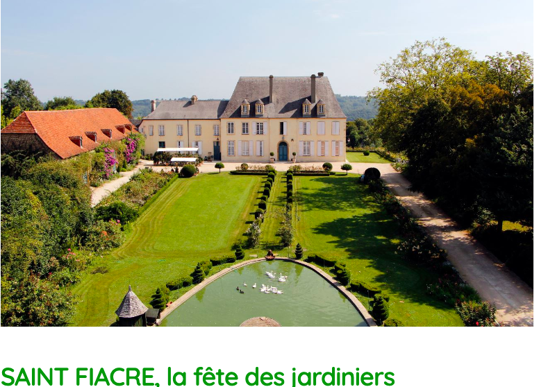Un grand manoir avec un jardin bien entretenu et un bassin avec des canards, entouré d'arbres et de maisons plus petites.