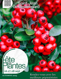 Groseilles rouges sur une plante avec feuilles vertes, promotion pour la fête des plantes du 26 au 28 septembre, automne 2023 en Saint-Jean de Beauregard.
