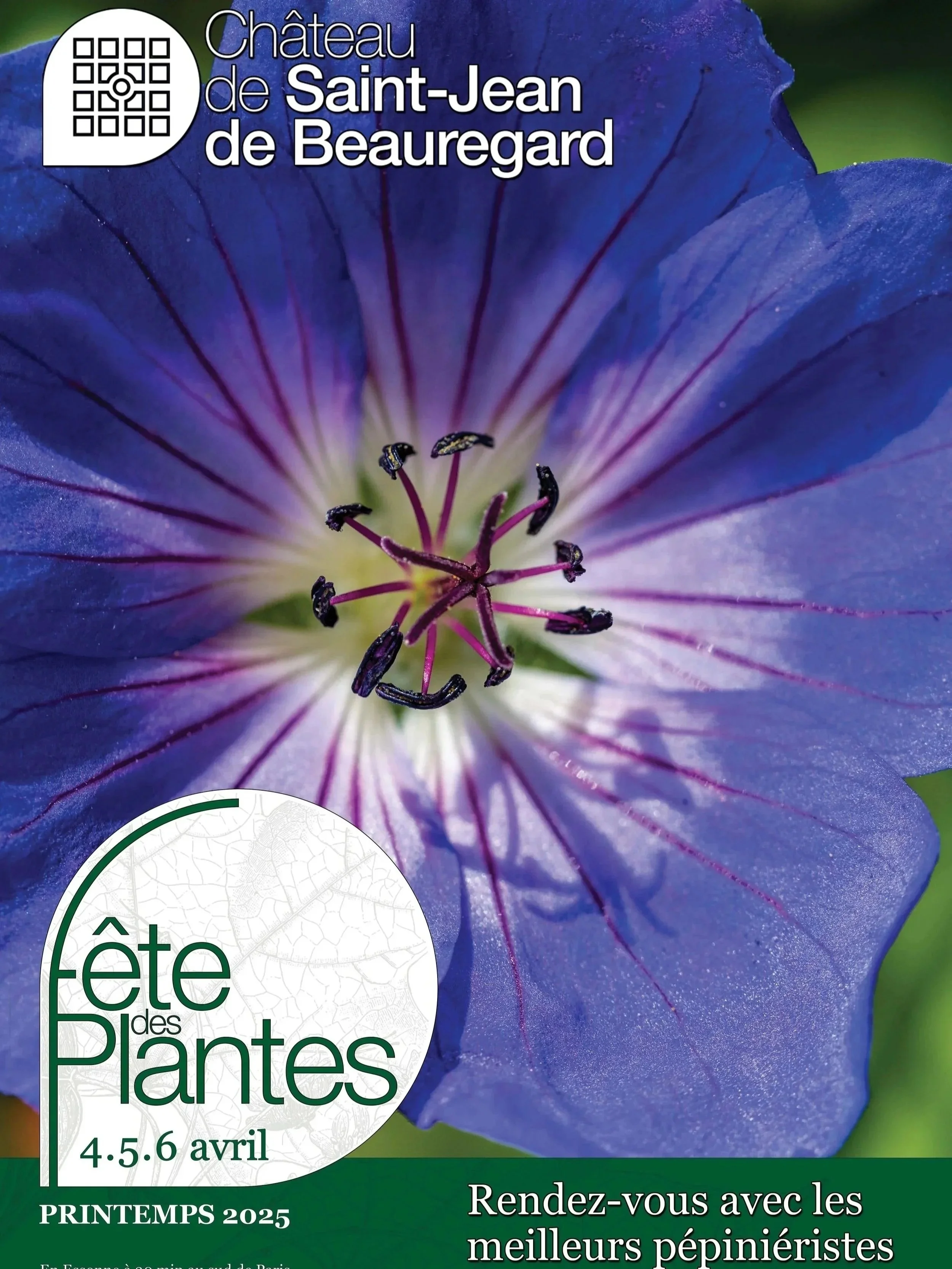 Une fleur violette avec des détails visibles au centre, accompagnée de textes promotionnels pour un événement au Château de Saint-Jean de Beauregard, organisé du 4 au 6 avril 2025, avec une invitation à rencontrer les meilleurs pépiniéristes lors du printemps 2025.