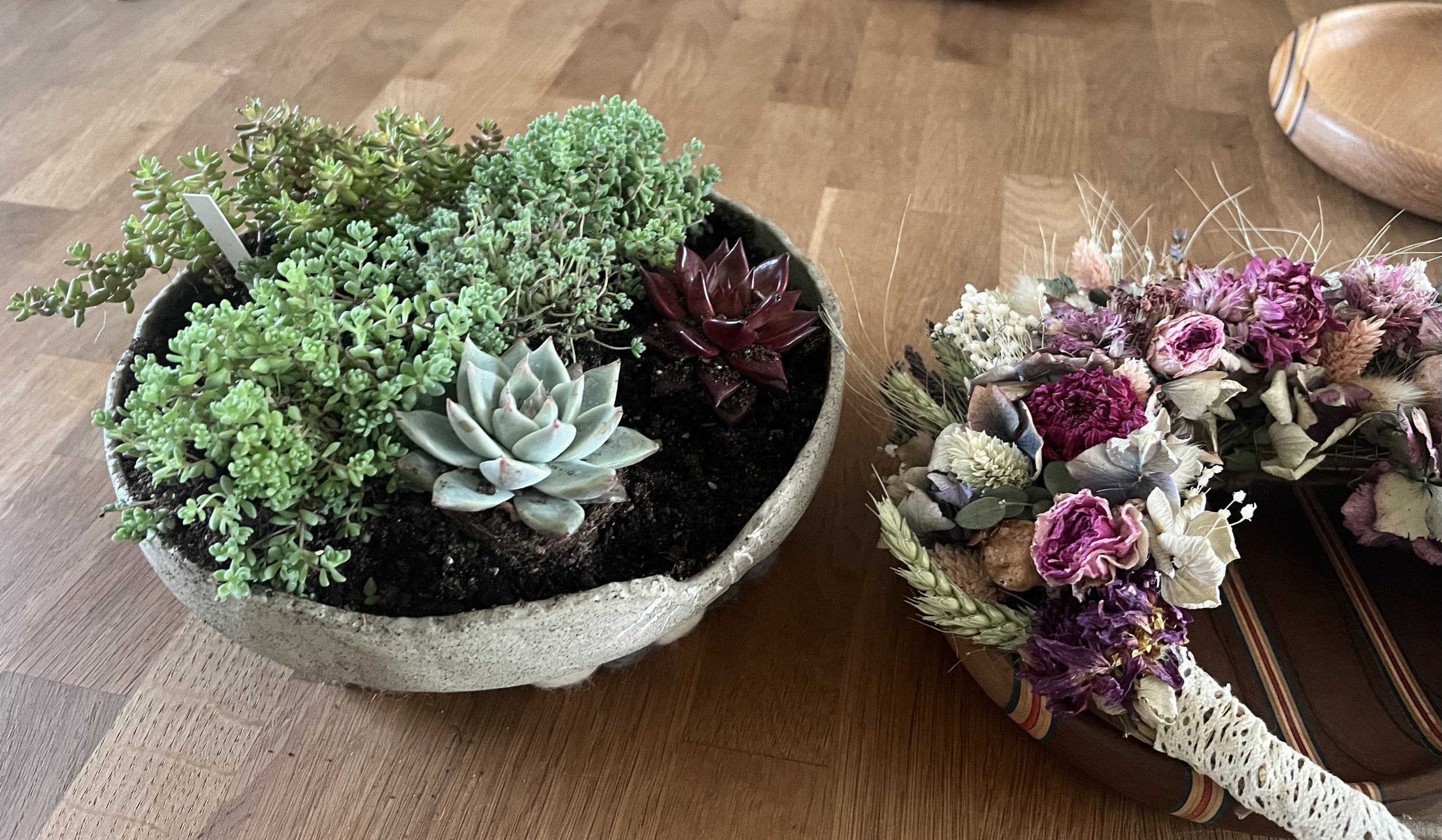 Un pot avec des plantes grasses vertes, une succulente rouge et une autre de couleur bleu vert. À côté, un bouquet de fleurs séchées avec des roses, des lavandes et autres fleurs séchées.