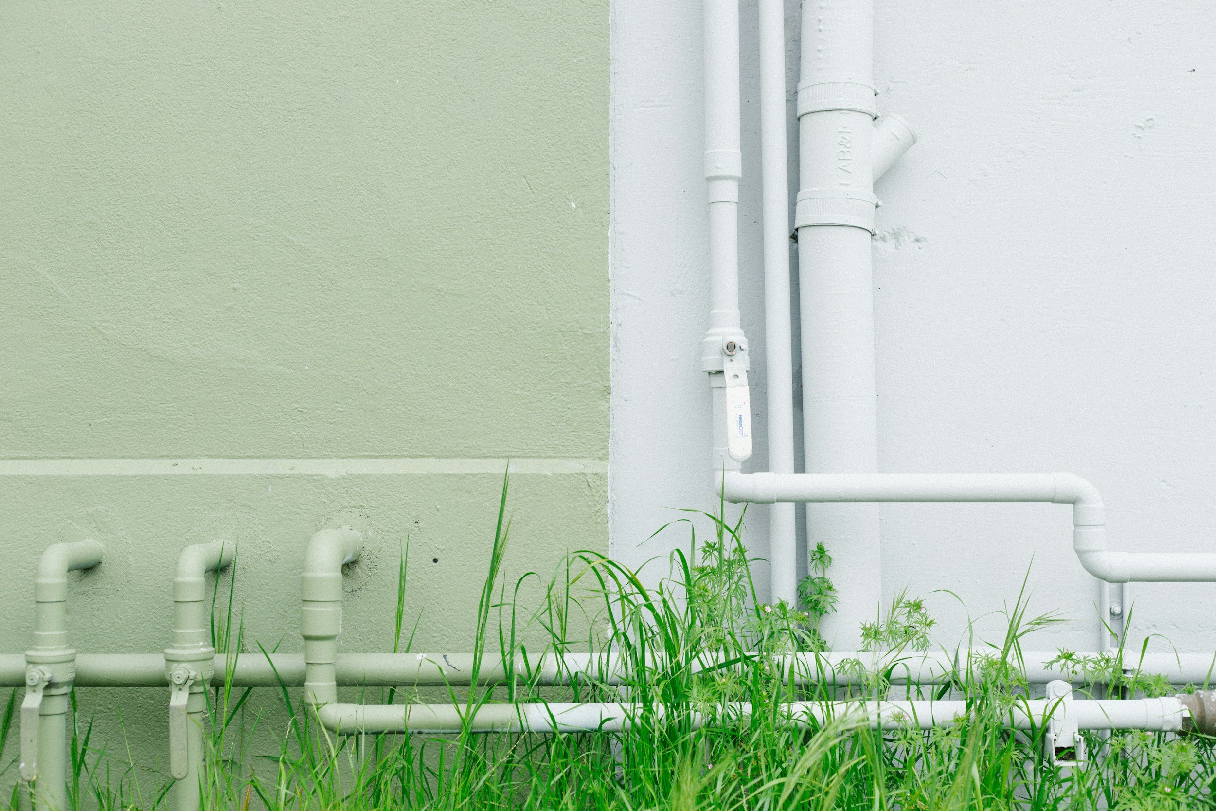 White utility pipes running along a white wall with a section of light green painted wall adjacent, surrounded by green grass and small plants at the base.