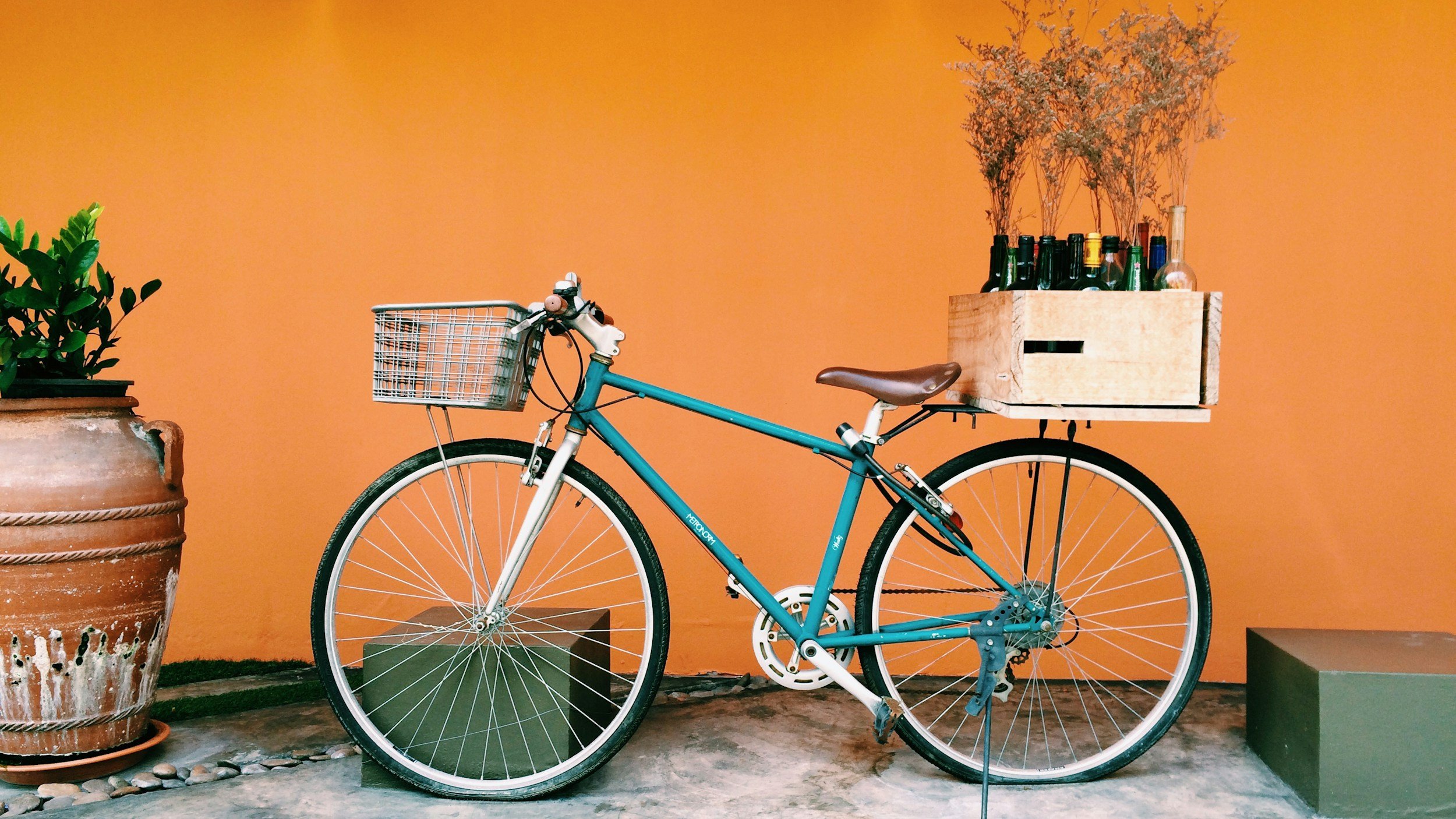 A blue bicycle with a wooden cargo box on the back, filled with empty beer bottles and dried plants, set against an orange wall. To the left, there's a terracotta pot with a green plant.