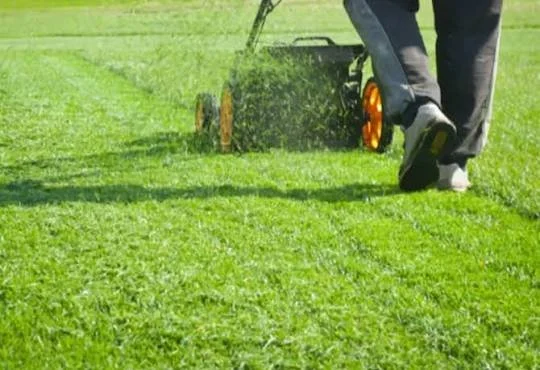 Person mowing a lush green lawn with a push lawn mower.