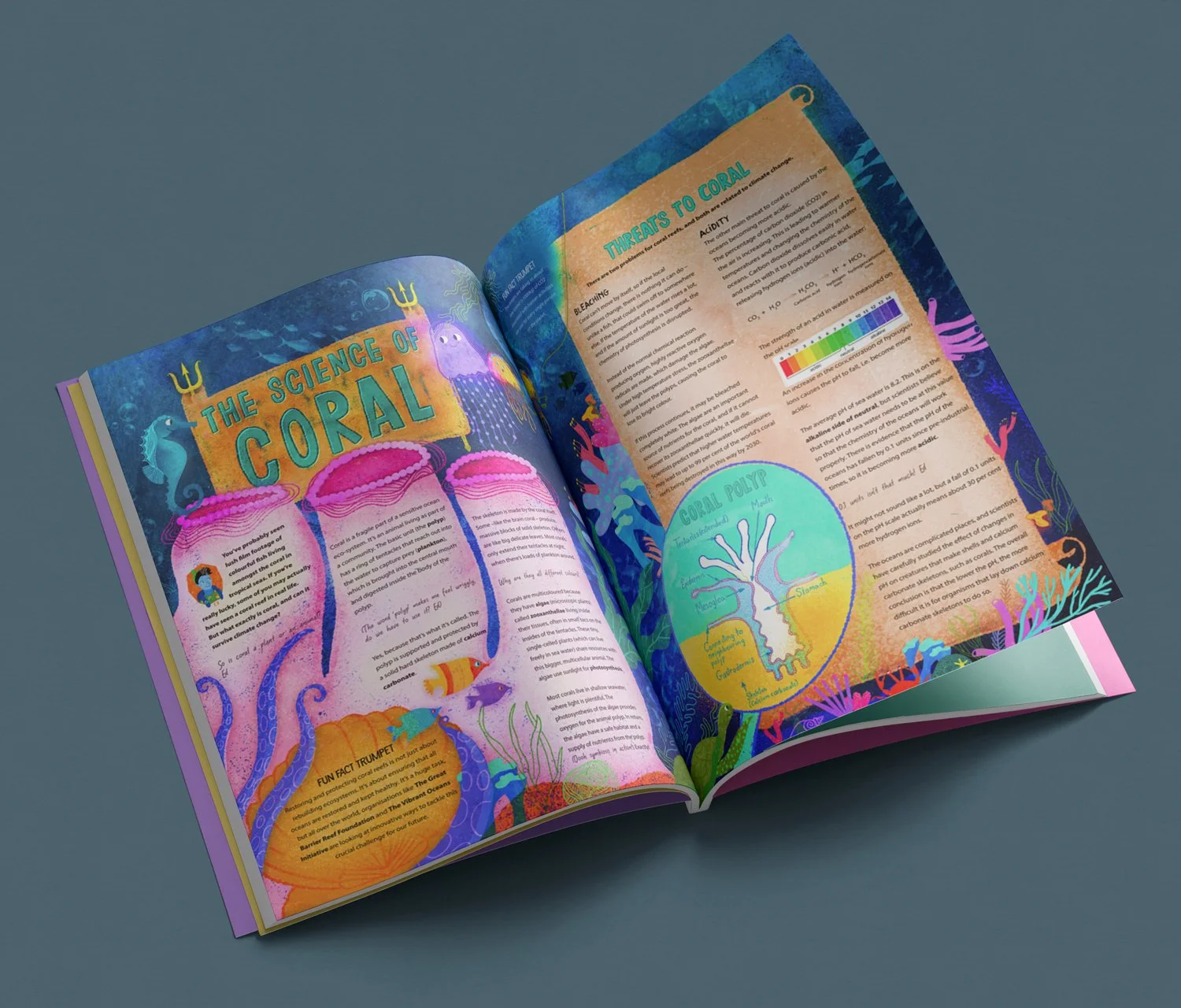 Harris-Aquila-Magazine-Illustration-Coral-Editorial-Kids.jpg
