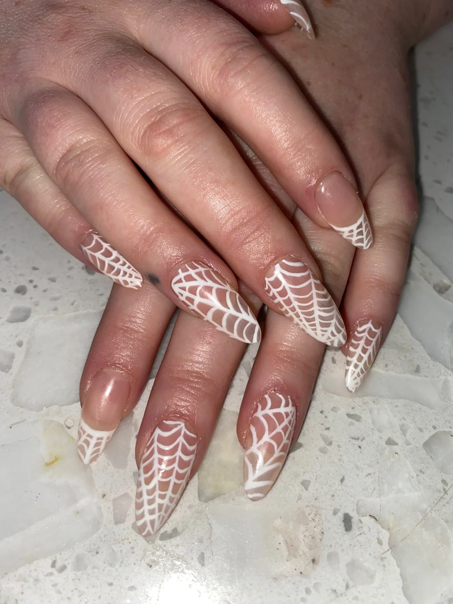 Detailed Art: hand drawn cobwebs for Halloween