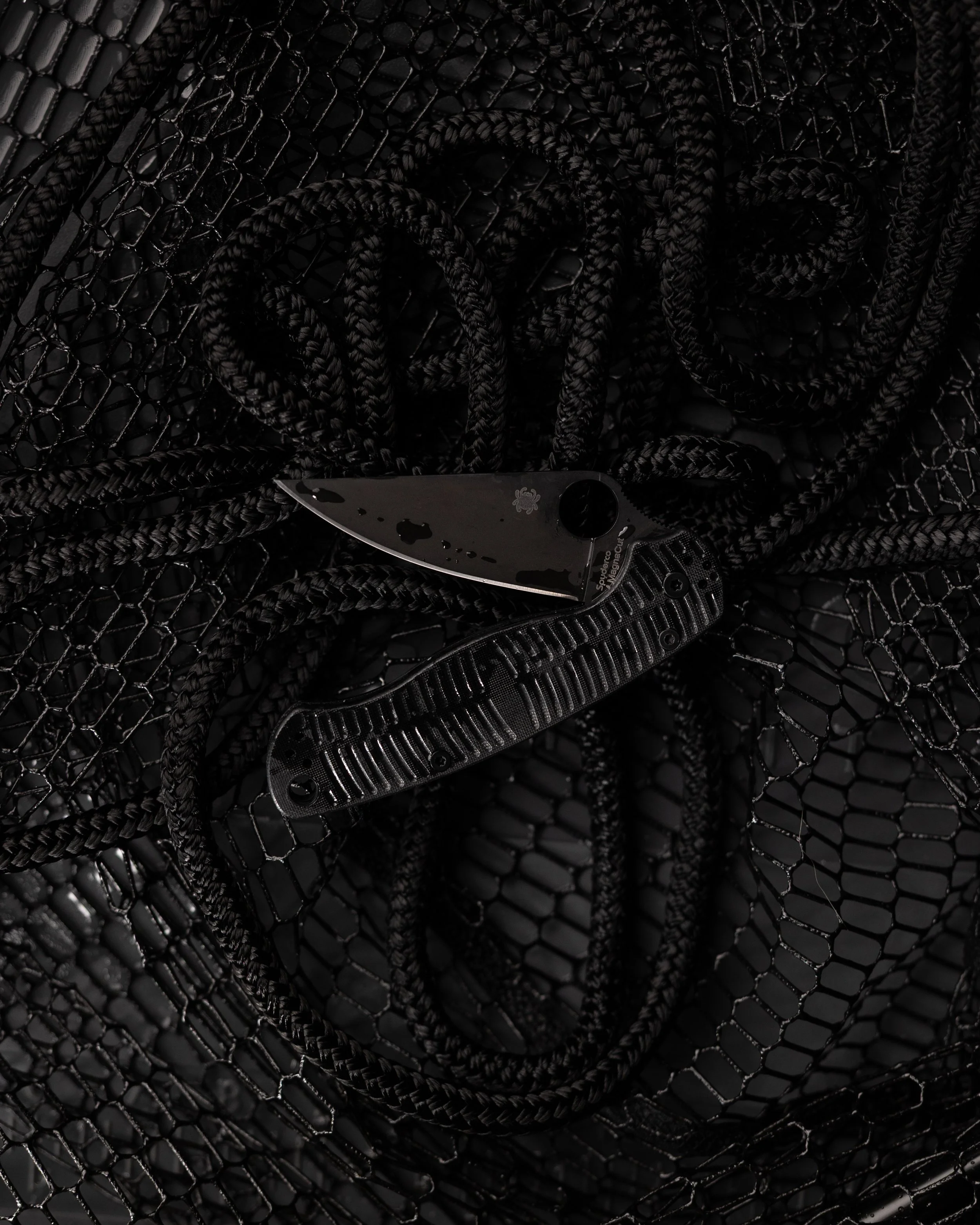 Spyderco PM2 Salt-14.jpg