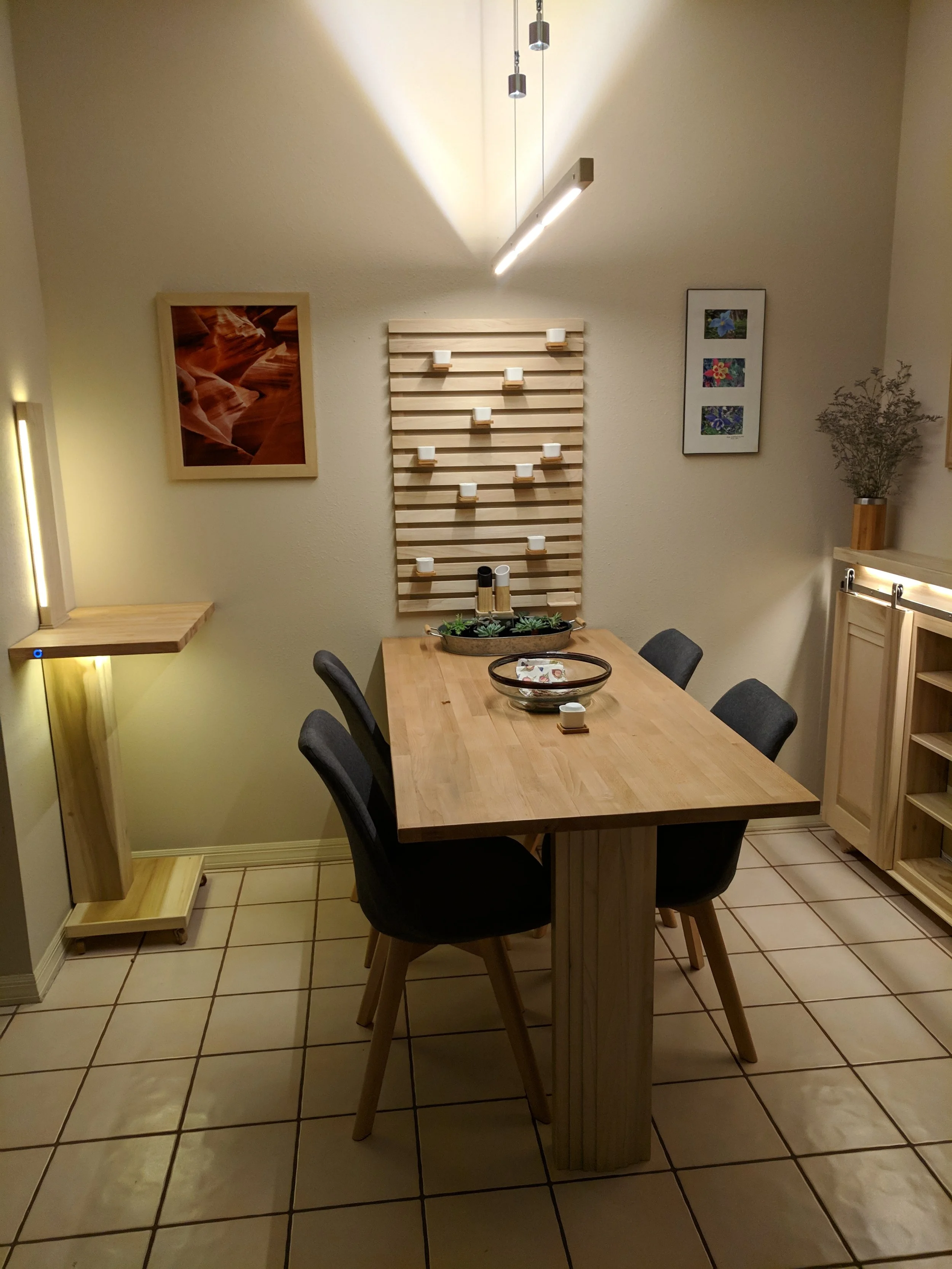 Custom home art gallery with artwork, display lighting and furniture