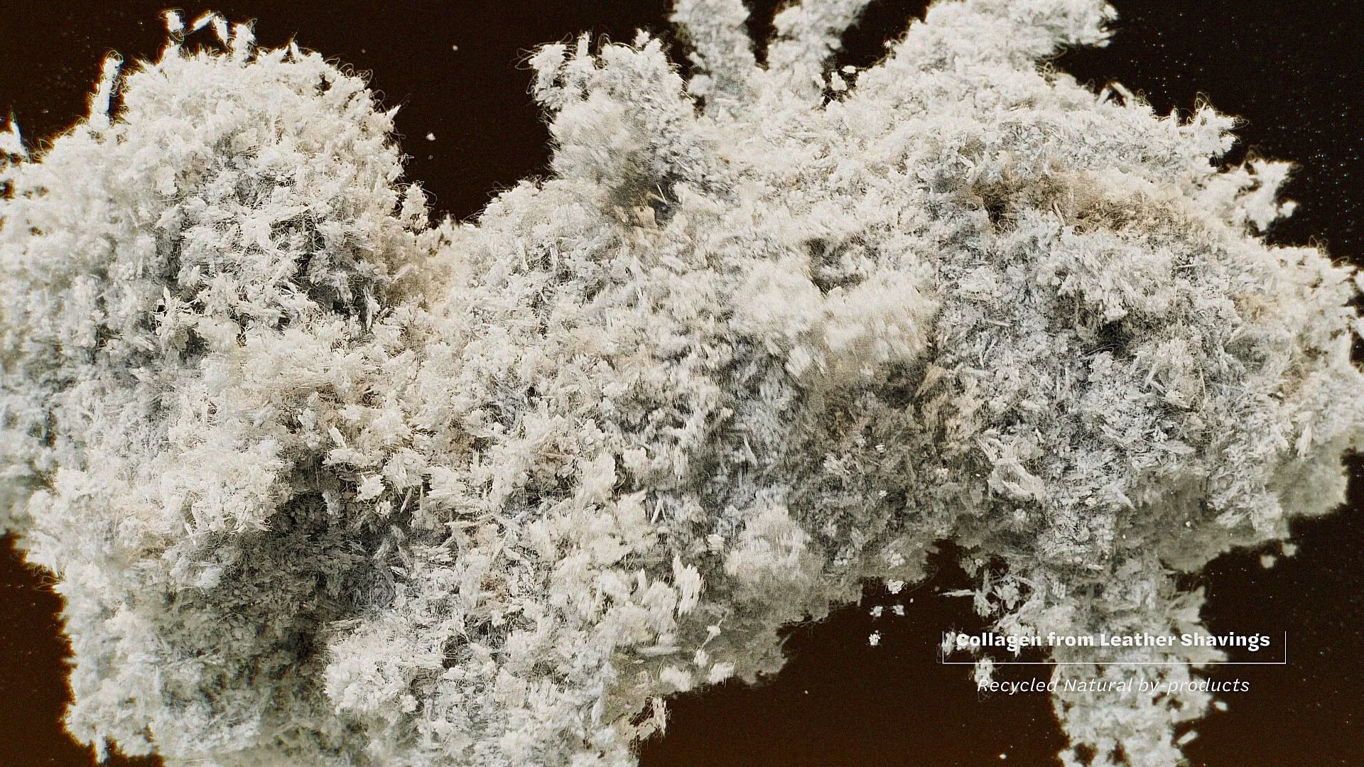 Module_Combined.mov Comp 1 (0-00-08-02).jpg