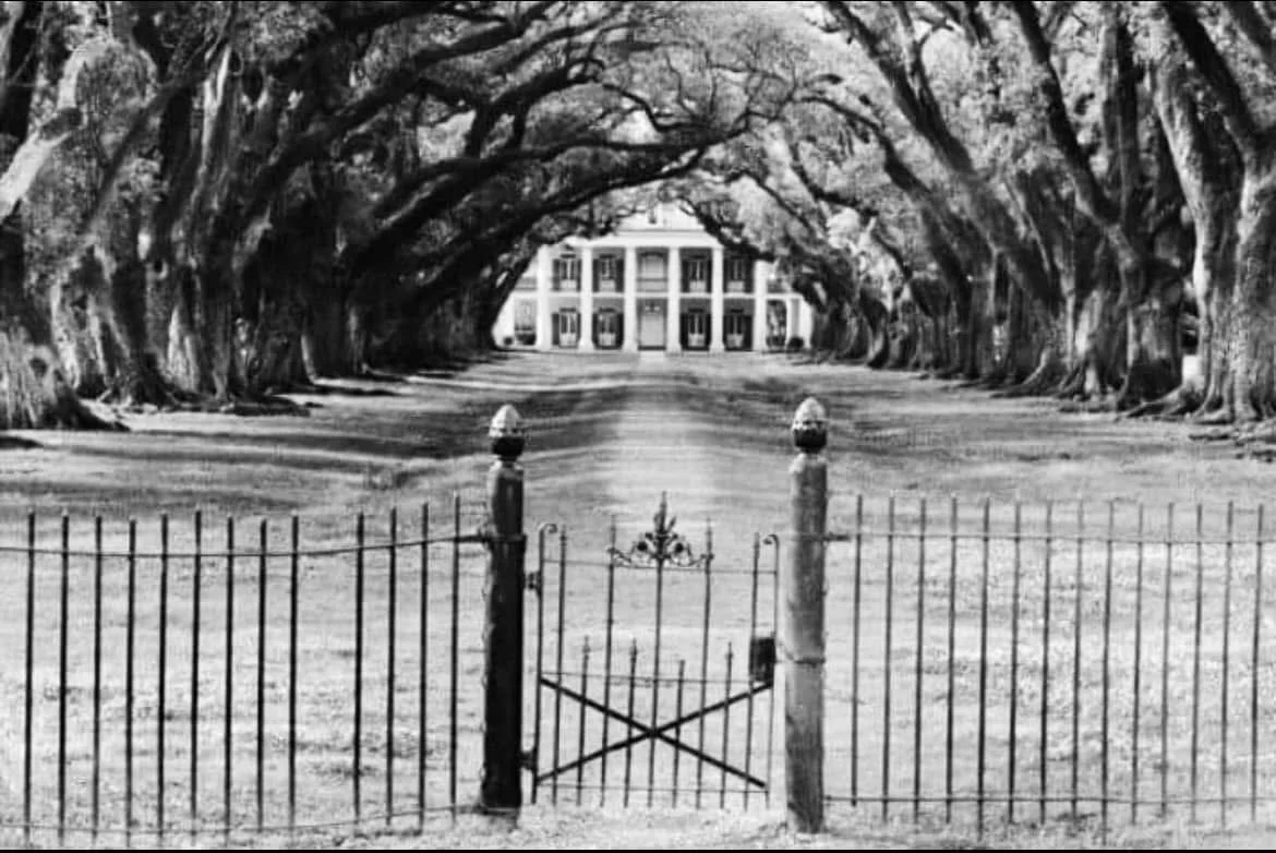 Oak alley.jpeg