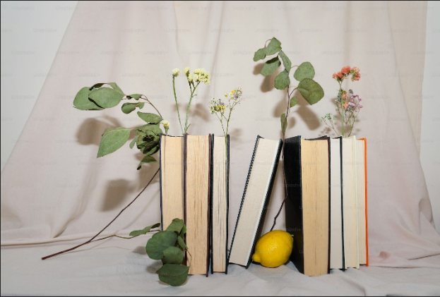 What Makes a Memoir Feel Literary Instead of Just Personal 