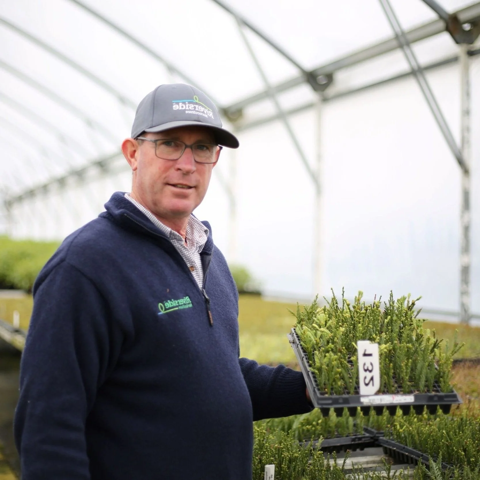 A man wearing a gray cap and glasses, dressed in a dark sweater with a logo, holds a tray of young plants inside a greenhouse. The greenhouse has a clear arched roof with bright lighting.