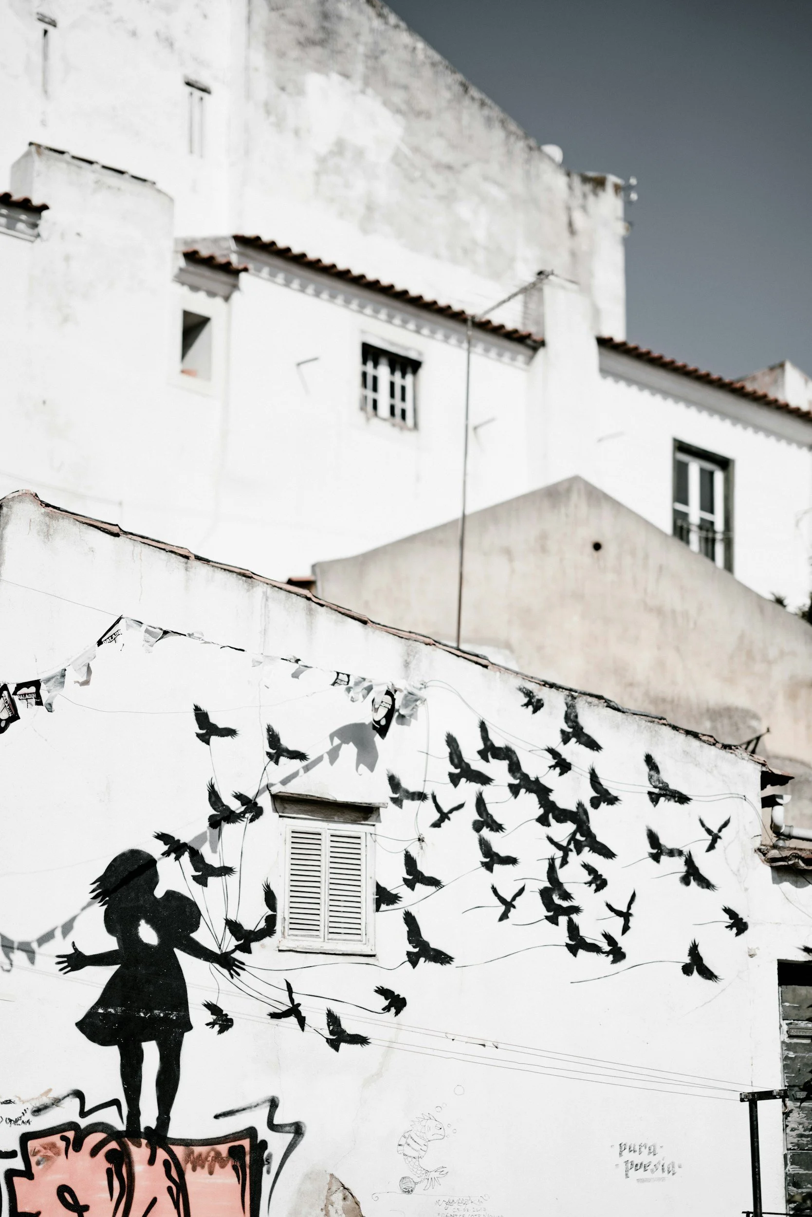 unsplash-image-F1unWcgcrlE.jpg