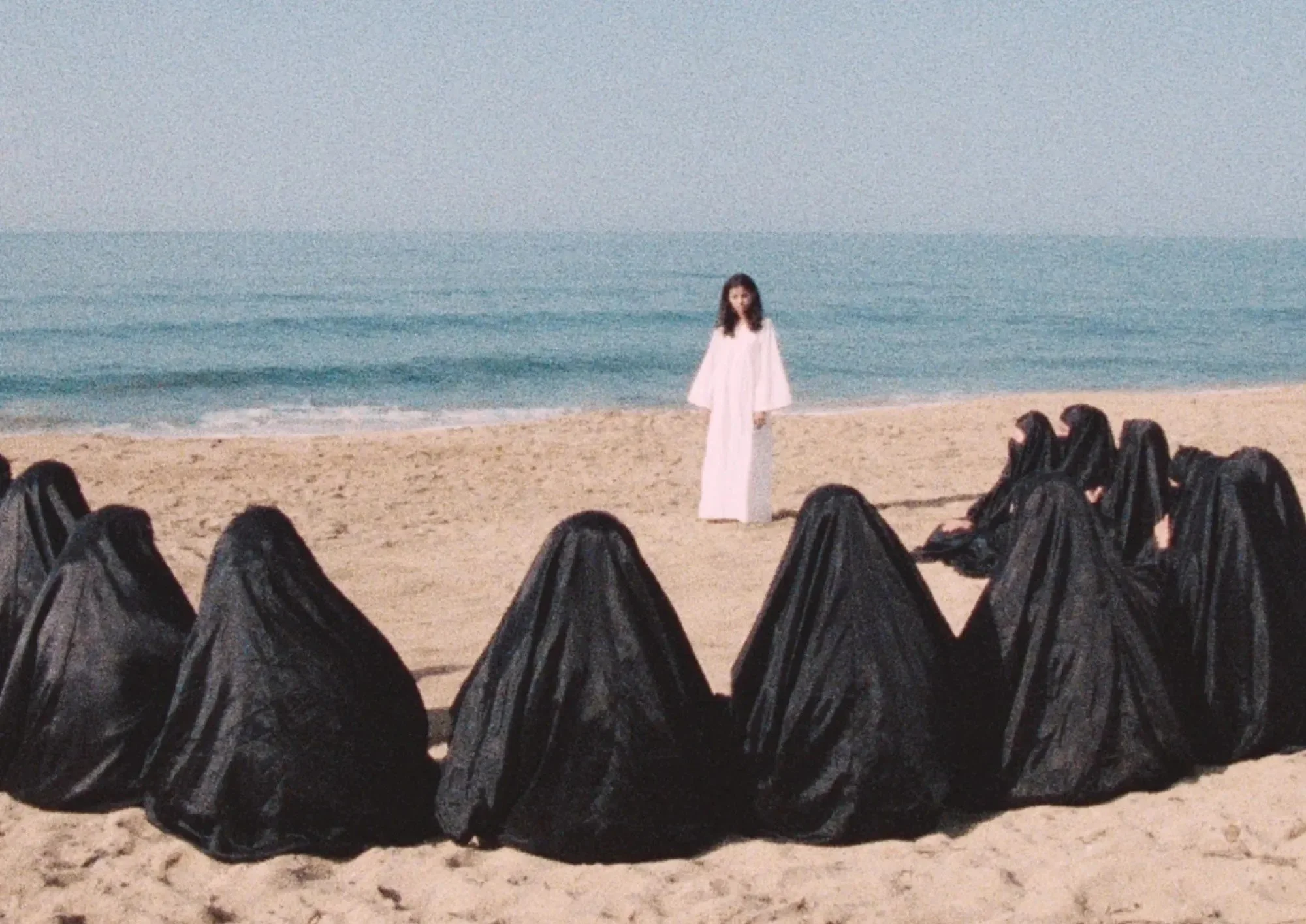 Leila and the Wolves