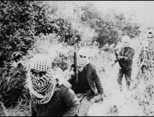 Beyond the Walls + Palestine Will Win