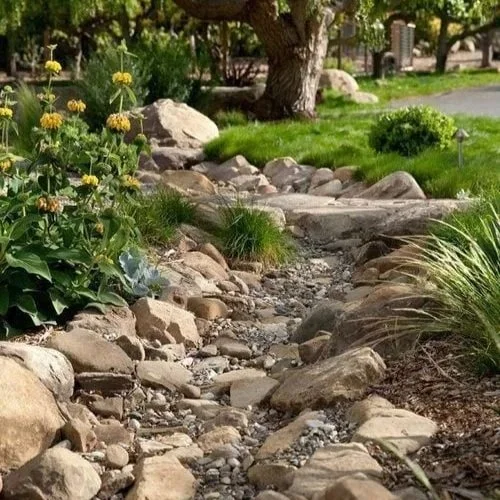 A small dry creek bed with rocks and stones, surrounded by green grass, flowering plants, and trees in a garden setting.