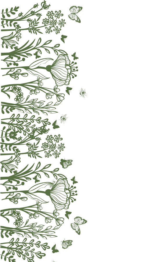 Decorative border of green botanical illustrations including flowers and leaves, with butterflies and bees scattered around, set against a white background.