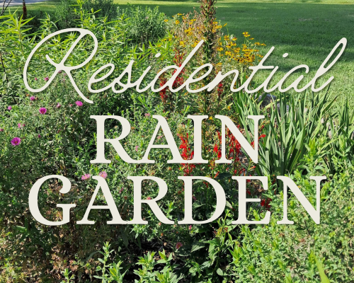 Residential rain garden designed and installed by Evergreen Eco-Scapes in Chesapeake, VA.