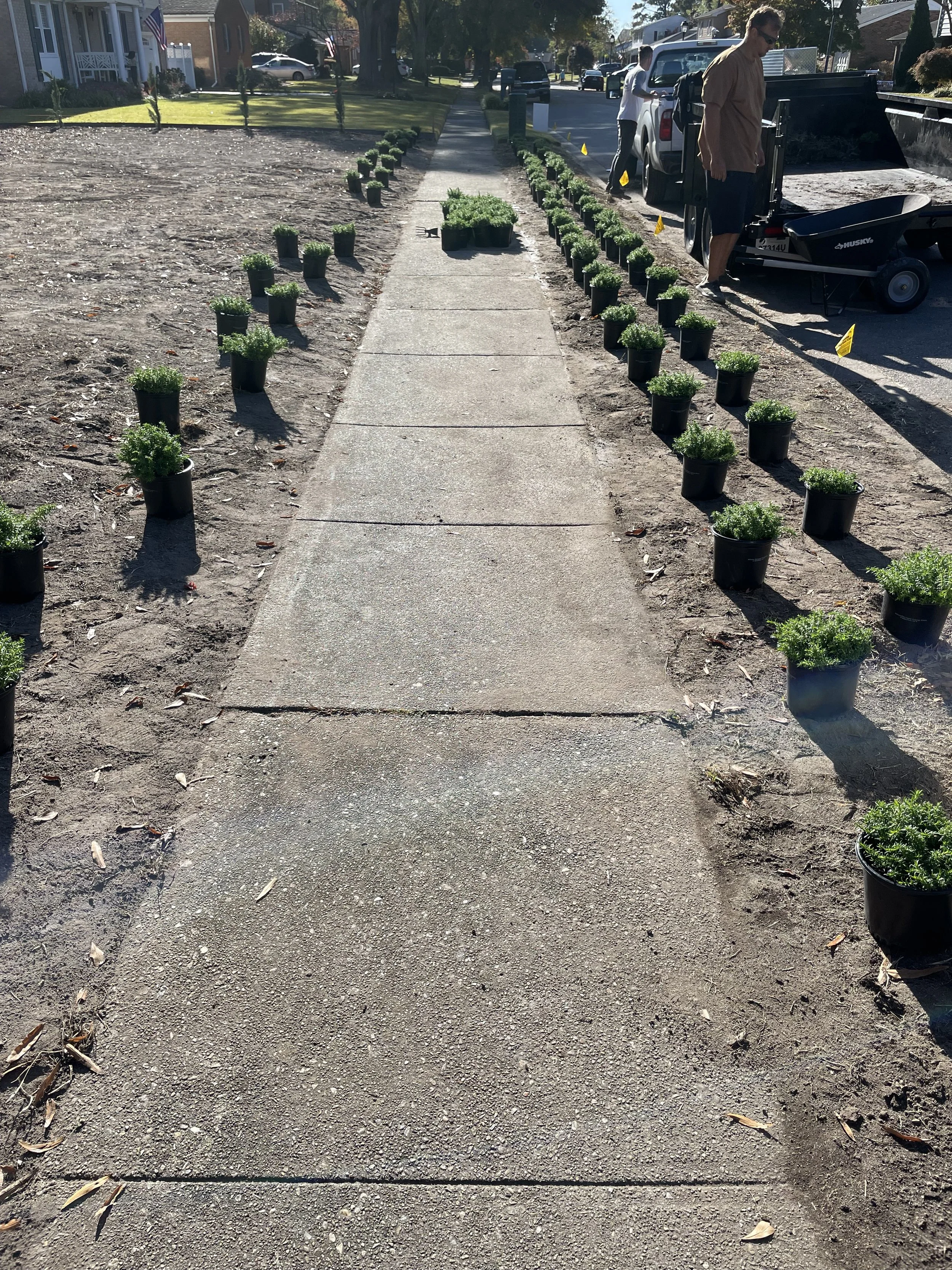 People placing and arranging potted plants along a sidewalk, preparing for planting or landscaping in a suburban neighborhood.