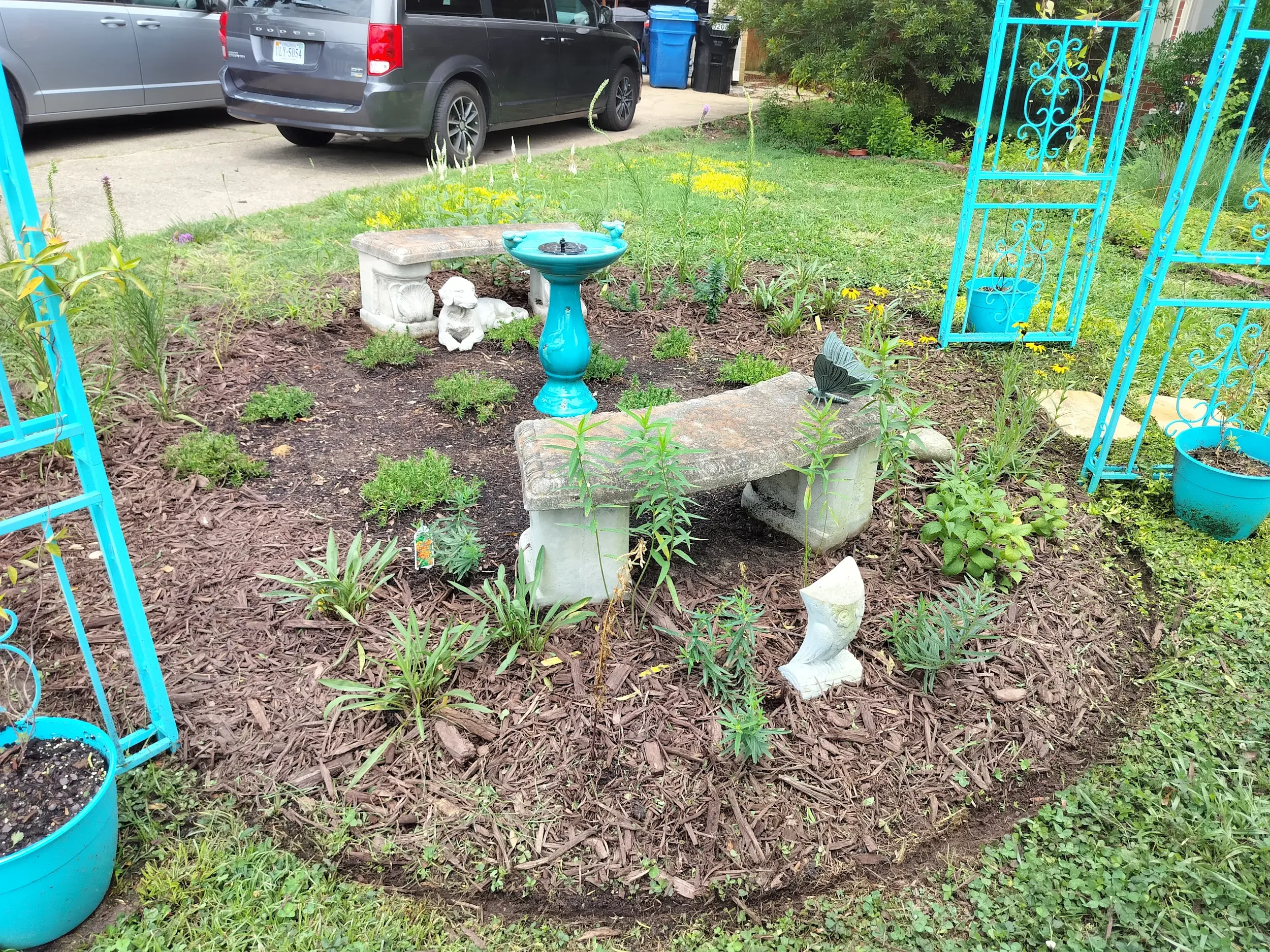 A small garden with plants and flowers, surrounded by a bright blue metal garden archway. There is a stone bench with a decorative lion's head on the side, a turquoise birdbath, and a butterfly figurine. In the background, there is a driveway with parked cars and trash bins.