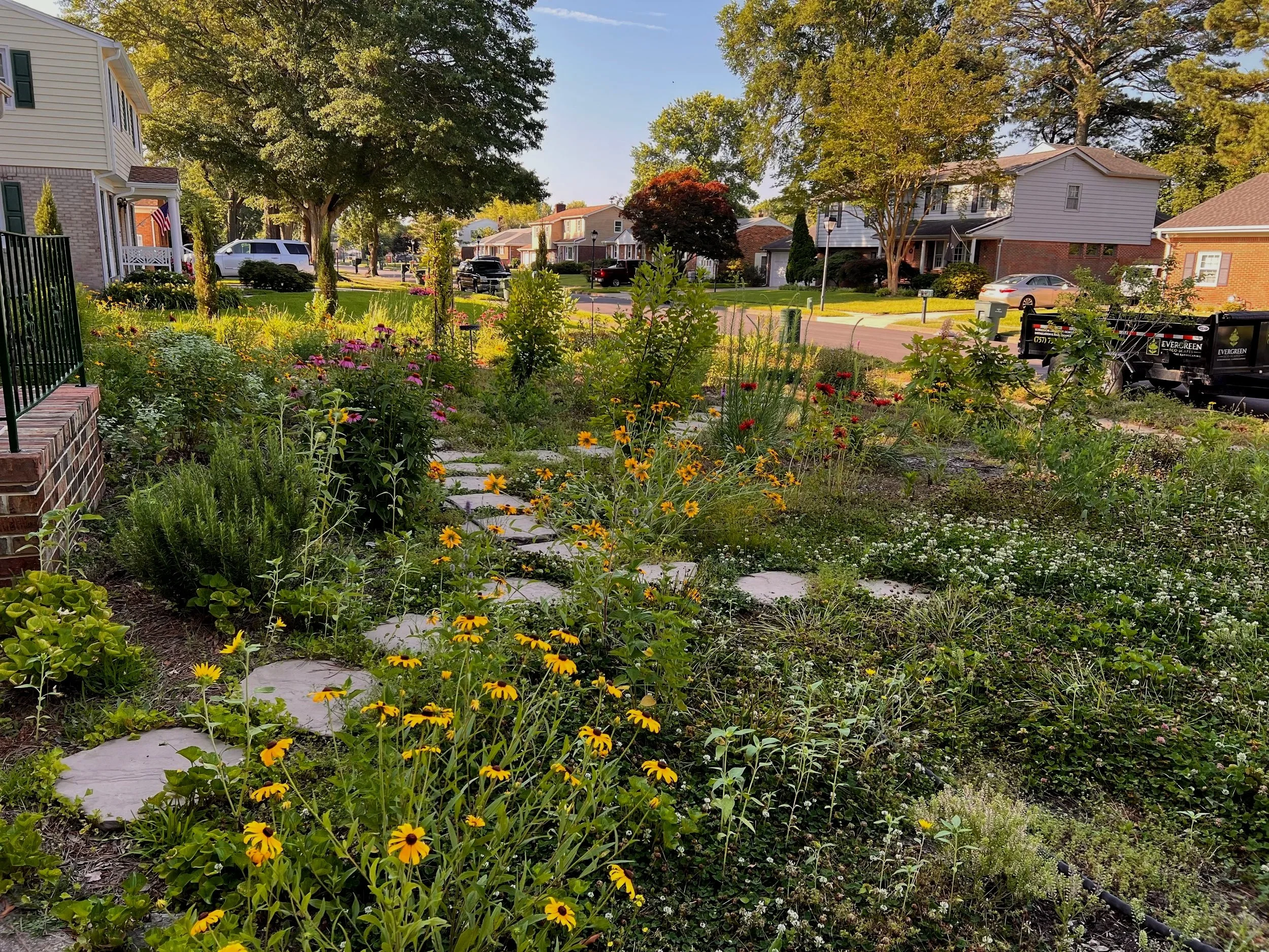 Native habitat garden designed and installed by Evergreen Eco-Scapes in Chesapeake, VA.