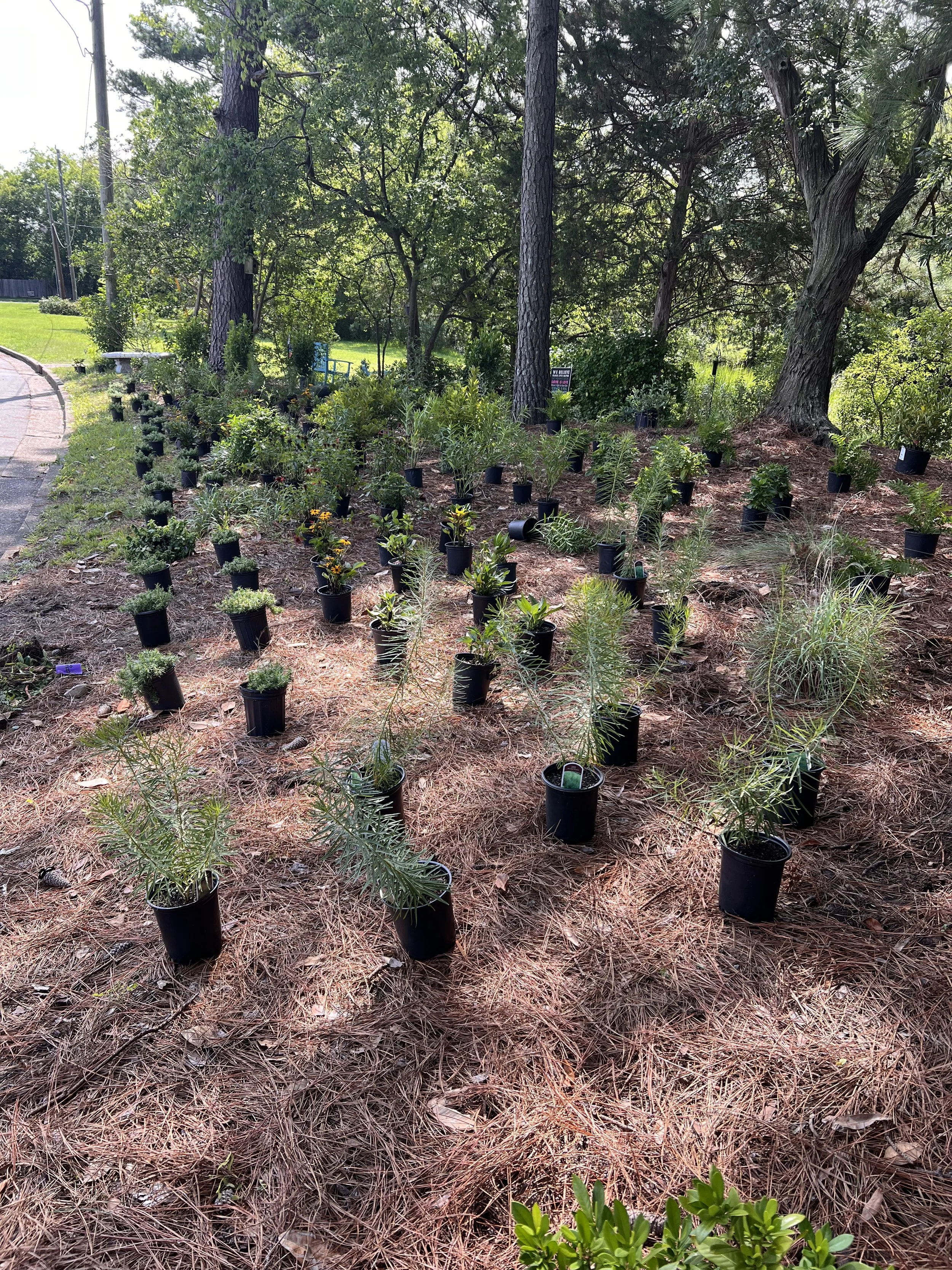 Garden designed and installed by Evergreen Eco-Scapes near Norfolk, VA.