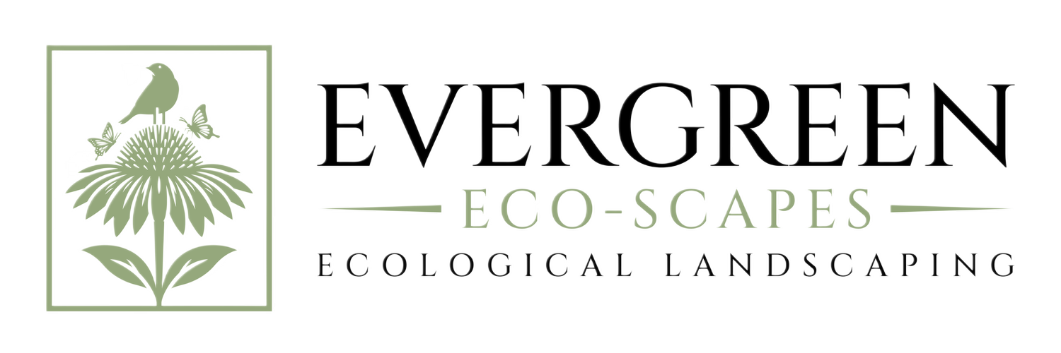 Evergreen Ecoscapes