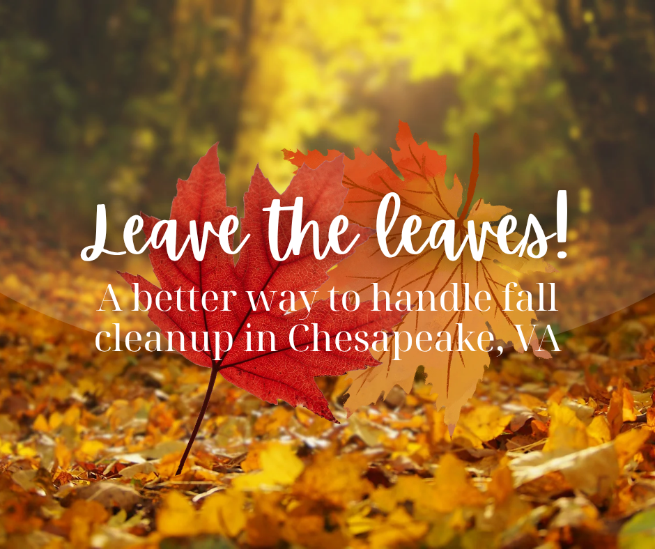 Leave the Leaves: Eco-Friendly Guide to Fall Cleanup in Chesapeake, VA.
