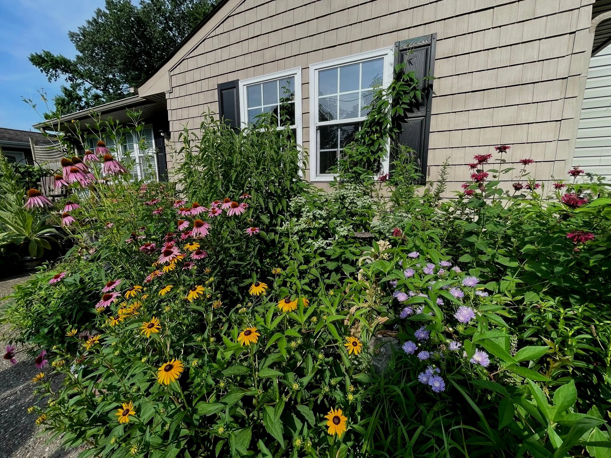 A native habitat garden designed and installed by Evergreen Eco-Scapes in Virginia Beach, VA.