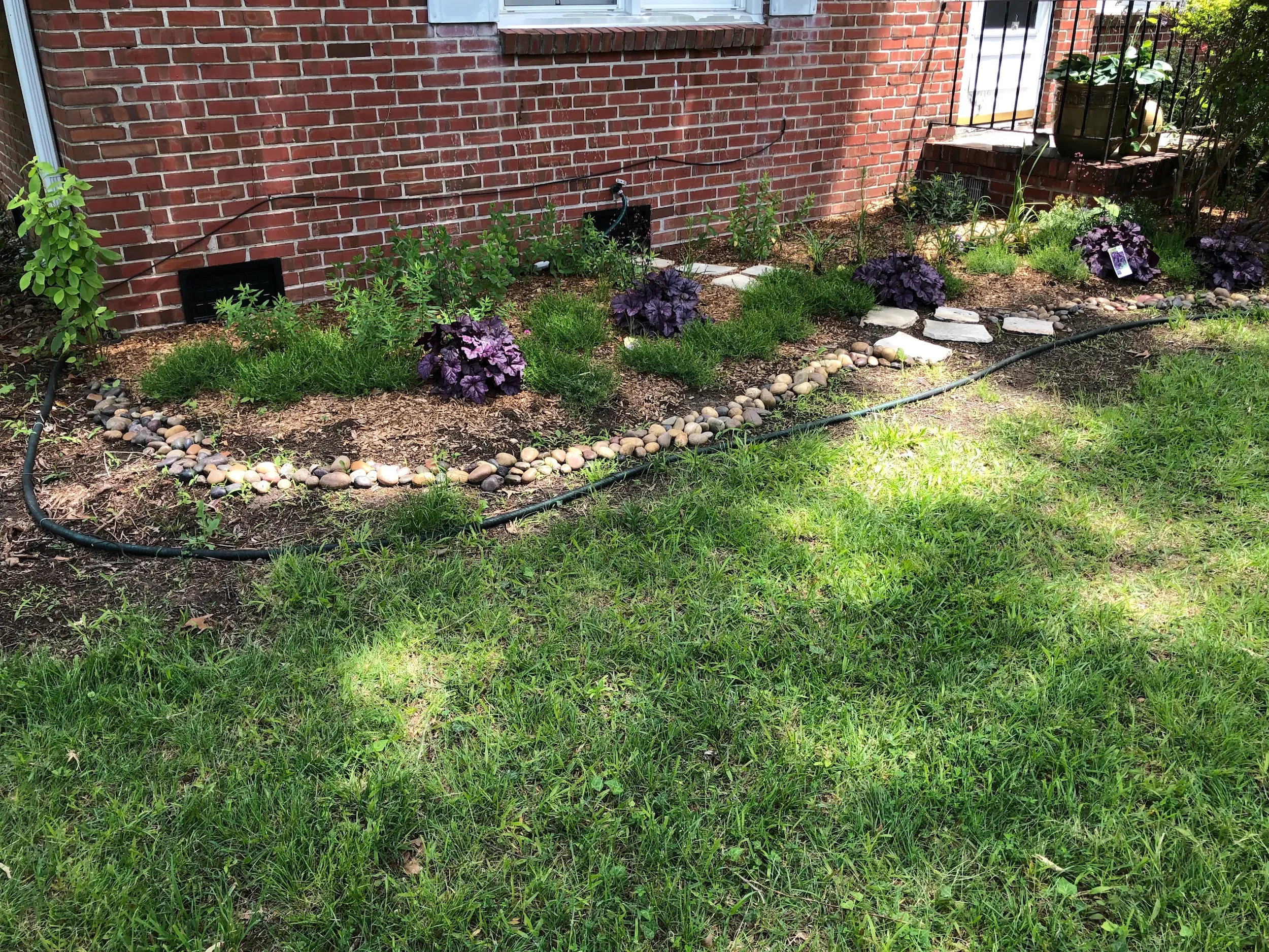 A small brick house with a garden in front, featuring various green plants and purple-leaved plants, a stone pathway, and a black garden hose on the ground. The house has a white door and a window, with a small brick porch and a black railing. There are some potted plants on the porch.