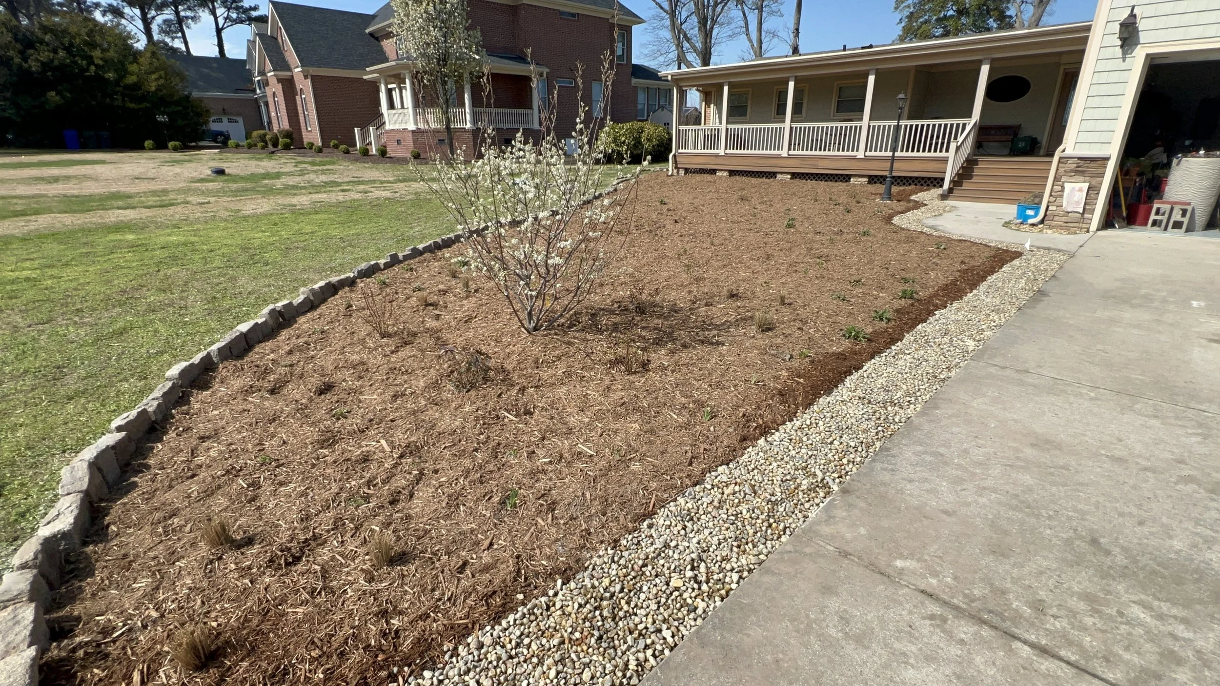 The turfgrass was removed along with 13 yards of soil that was replaced with a high sand ratio/compost mix to allow for better drainage.