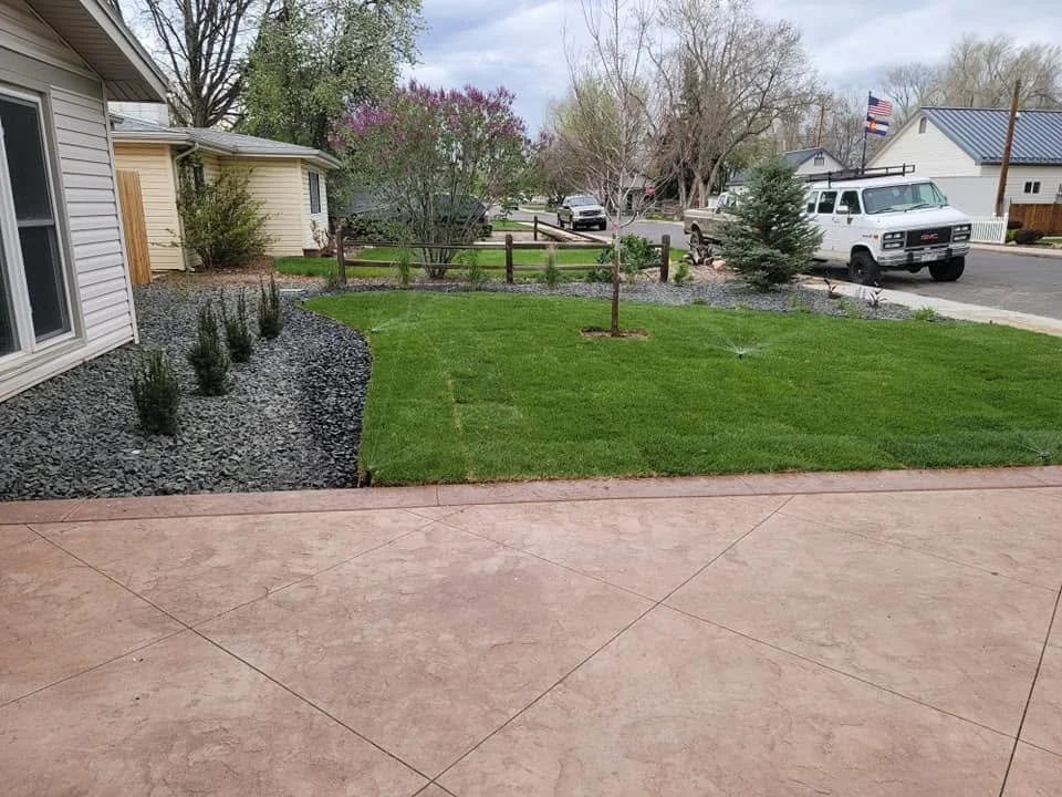 curb appeal project featuring updated landscaping and irrigation