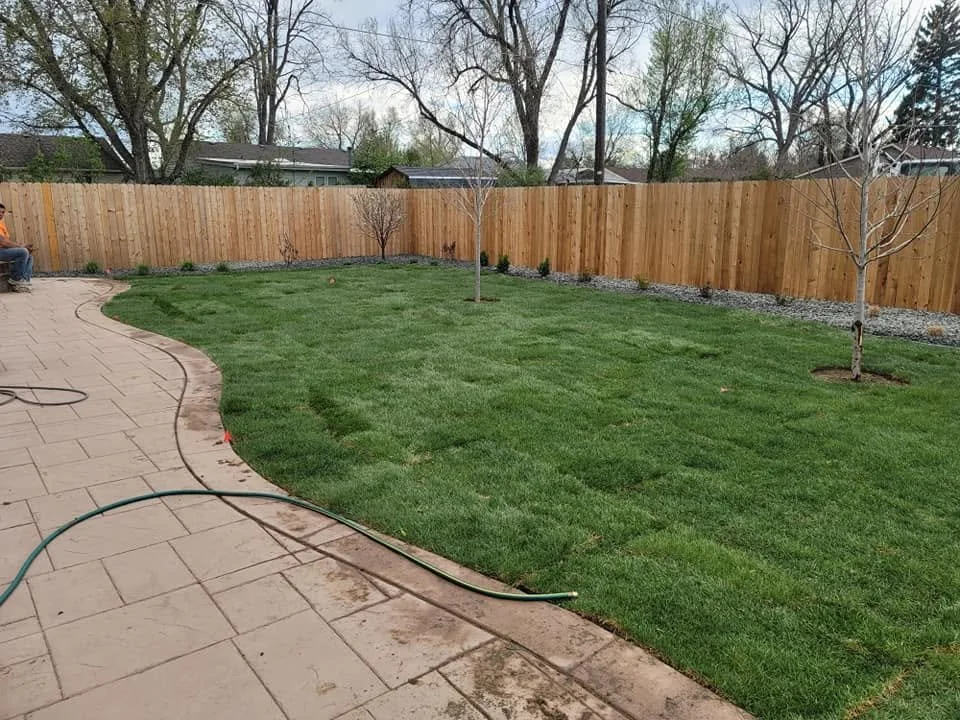 backyard project featuring landscaping and lawn revival