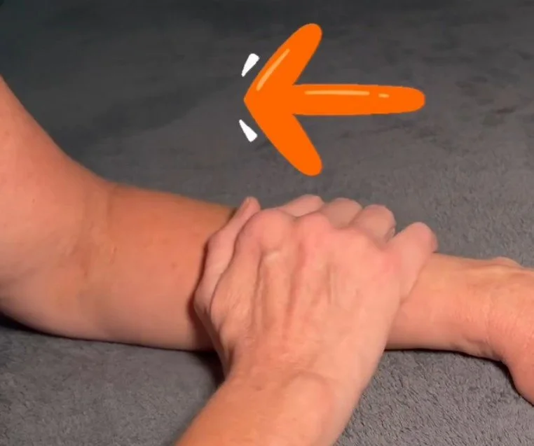 Your Body's Hidden Circulatory System: What the Lymphatic System Does and Why It Matters