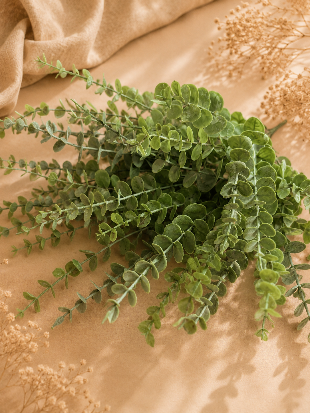 Tiges Eucalyptus artificielles - 0,20€
