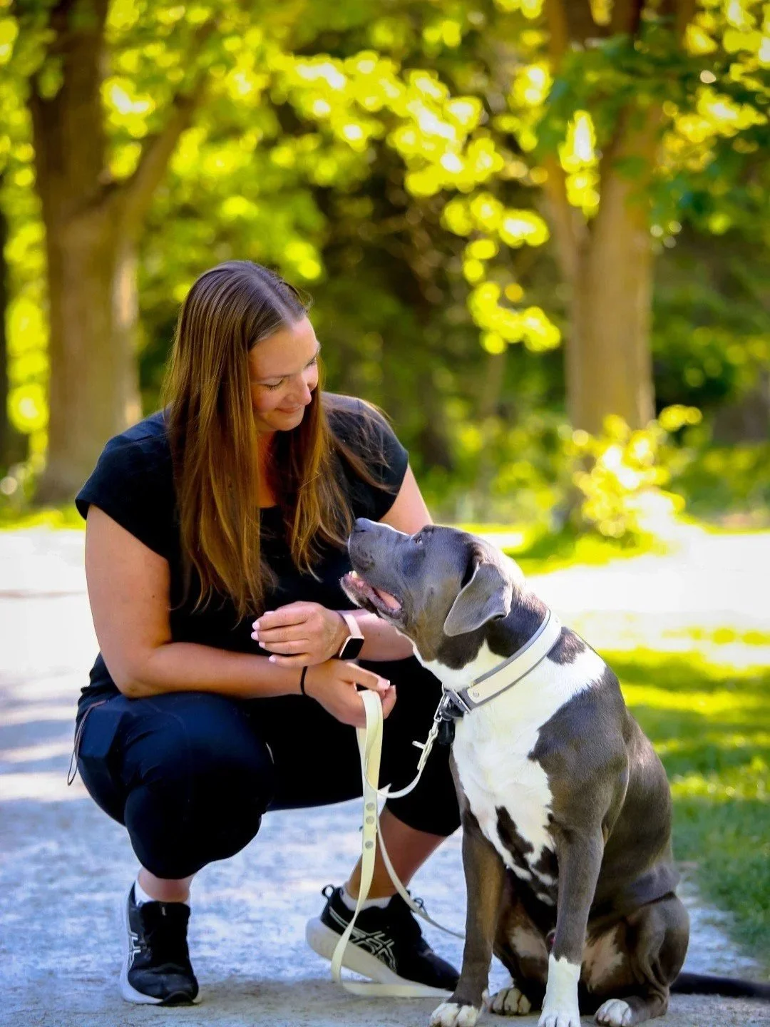 A woman kneeling and smiling at a large dog in a park with green trees in the background.