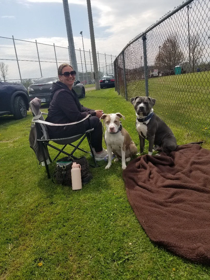 A woman with sunglasses sitting in a foldable chair next to two dogs on a grassy field, with a chain-link fence and parked cars in the background.