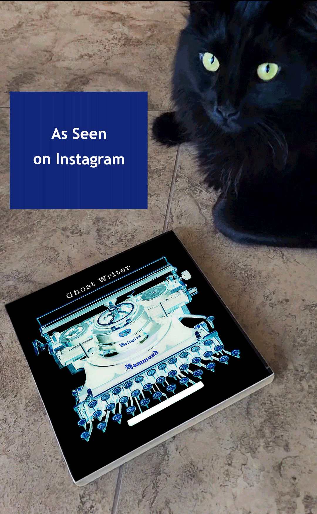 Ghost-Writer-Insta-Cat.gif