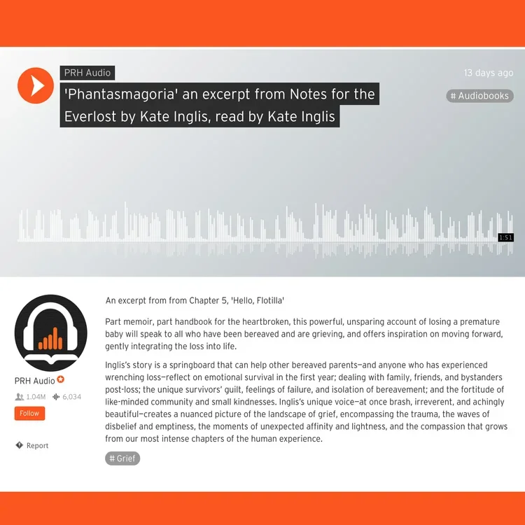 Audiobook clip: Phantasmagoria