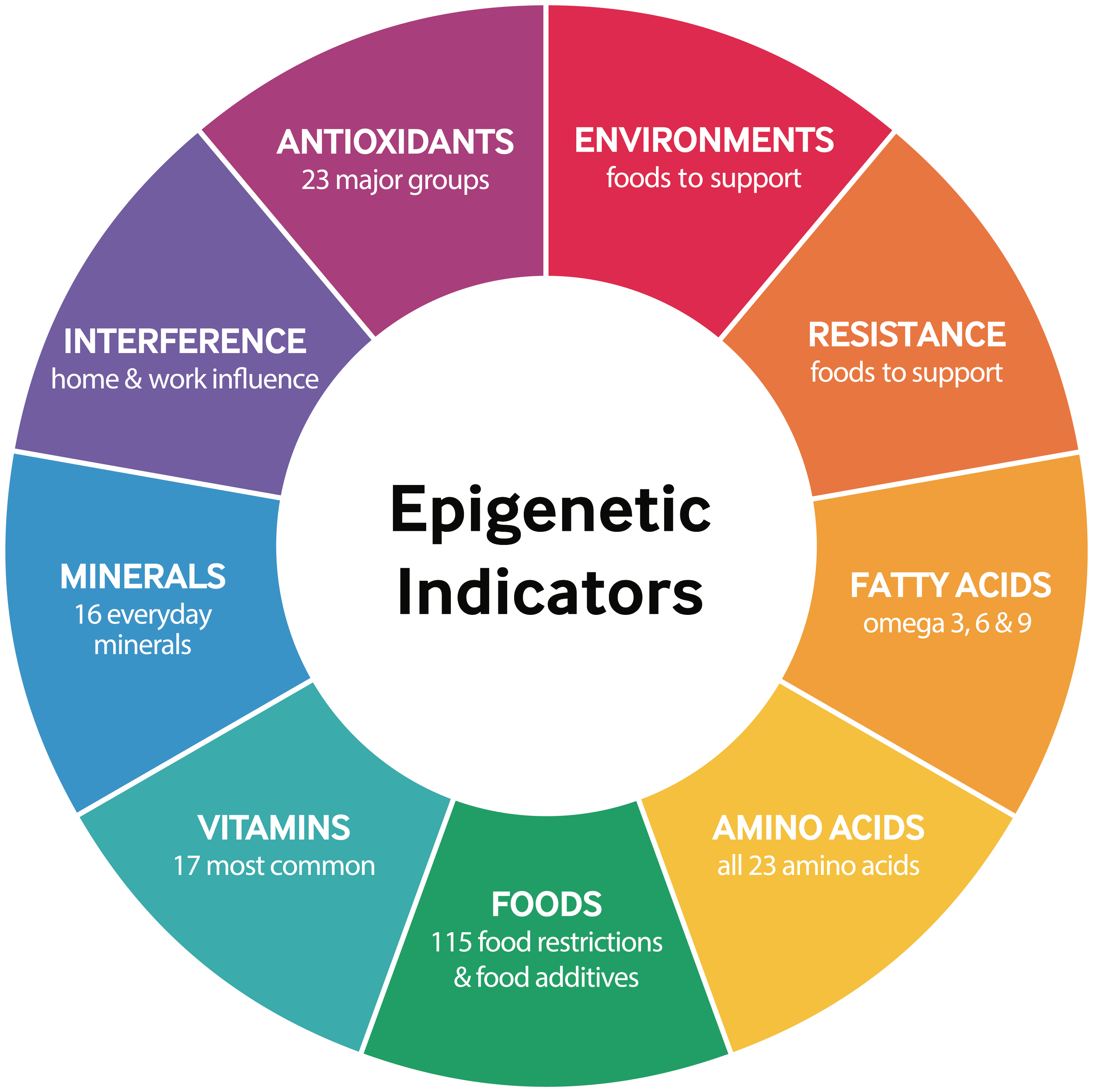 Epigenetic Hair Strand Testing used to evaluate nutritional and lifestyle factors that may influence hair health and growth