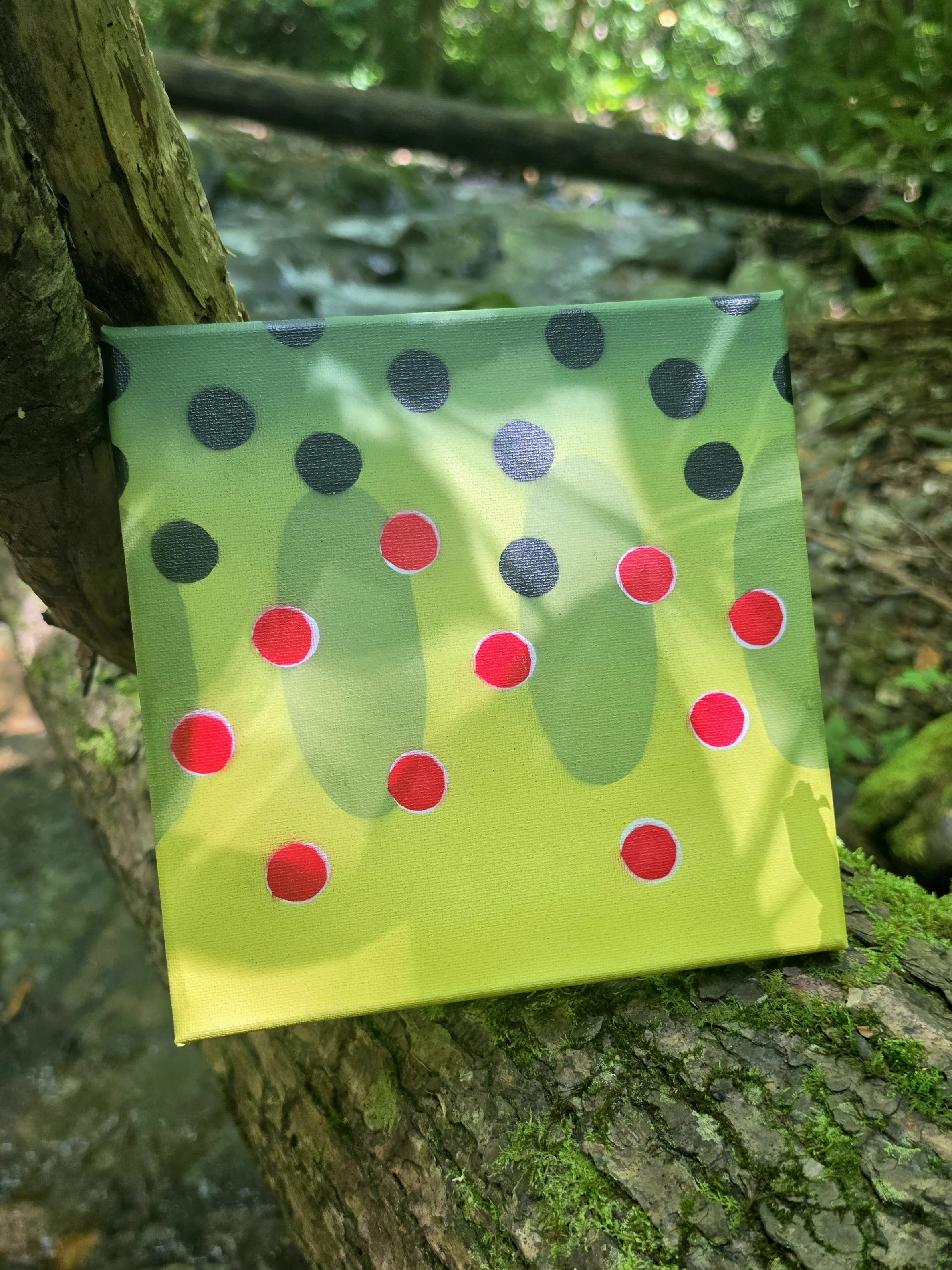 Close-up of a colorful fabric with black and red polka dots hanging on a tree in a forest setting.