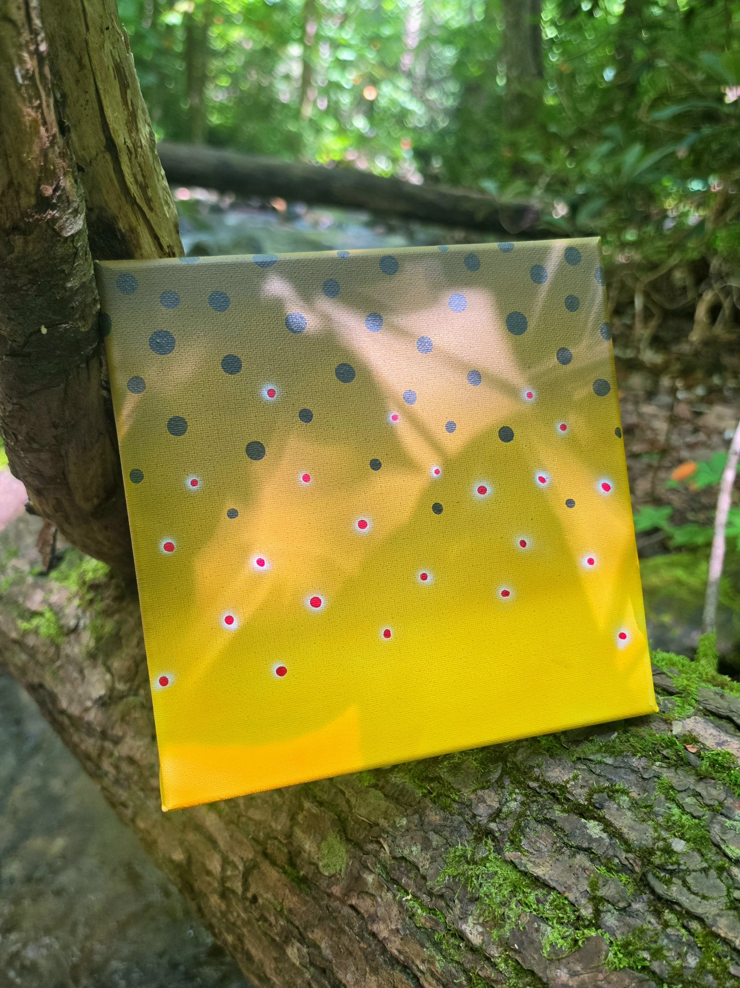 A yellow cloth with blue and red dots hanging from a tree branch in a forest environment.