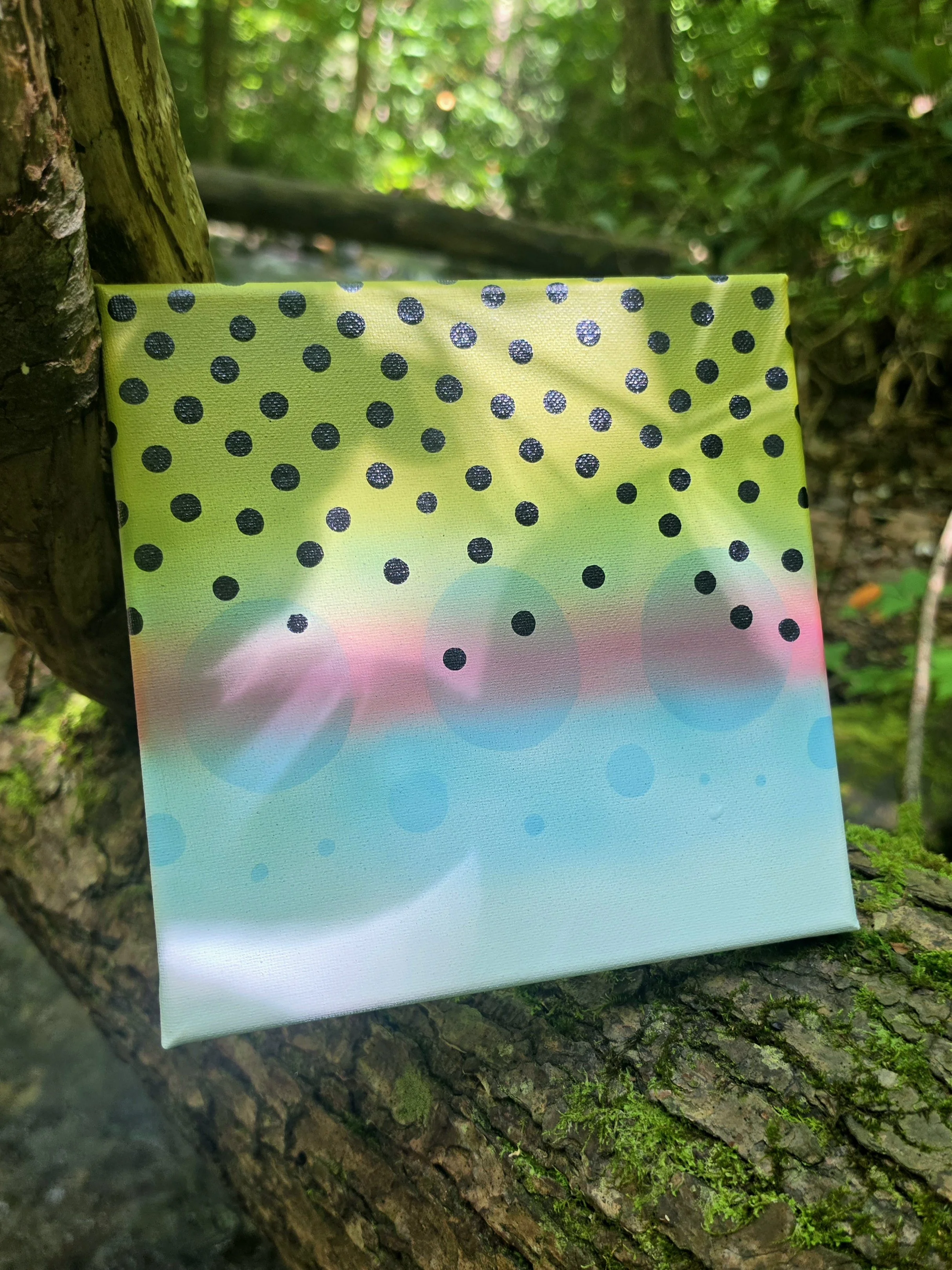 Close-up of a fabric or paper with a gradient background of rainbow colors and black polka dots, placed on a tree branch in a forested area.