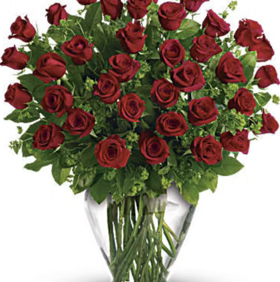 Three dozen red roses