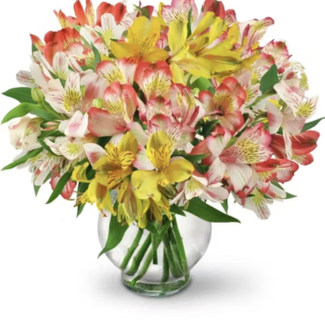 Perfect Peruvian Lilies